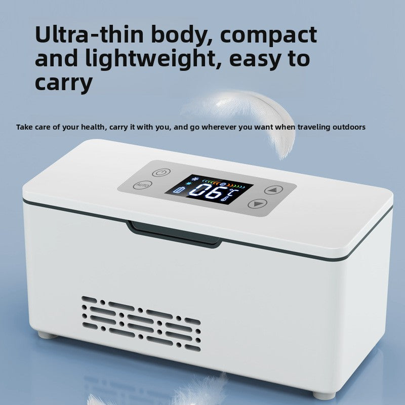 Mini portable rechargeable medicine cooler