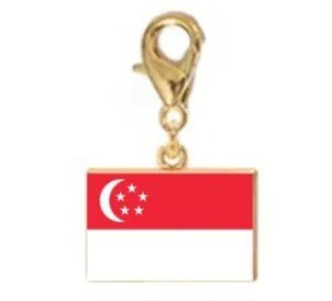 Stainless Steel National Flag Pendant Bracelet