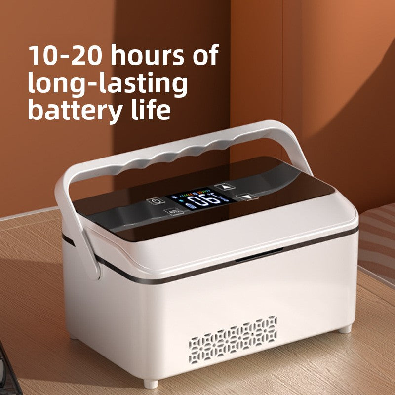 Mini portable rechargeable medicine cooler