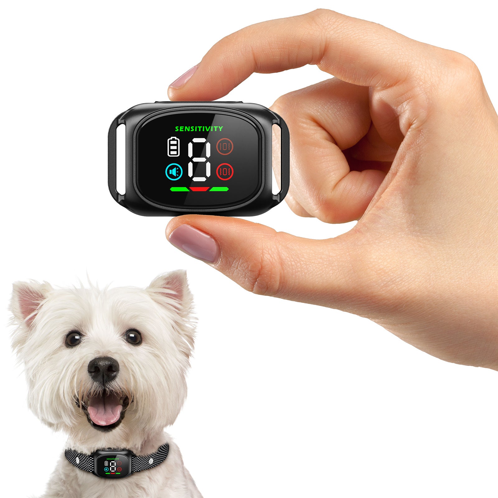 Private Model Anti-Barking Device