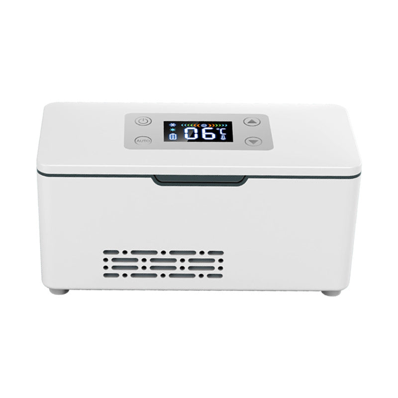 Mini portable rechargeable medicine cooler